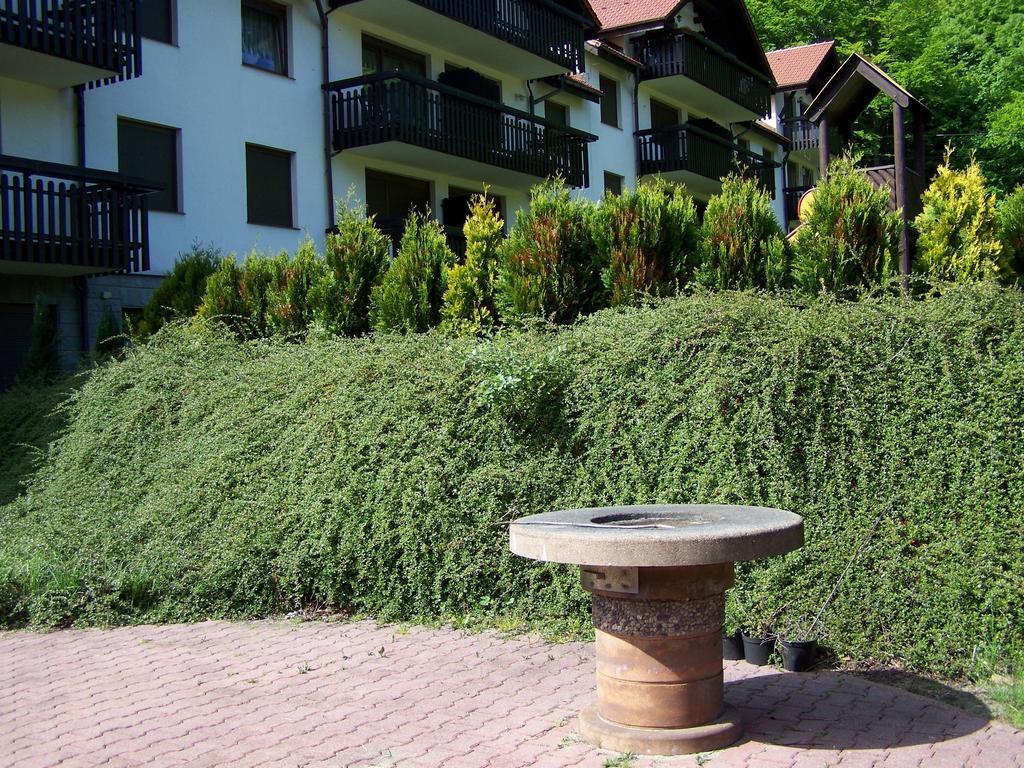 Apartment Gorska 54 Szczyrk Δωμάτιο φωτογραφία